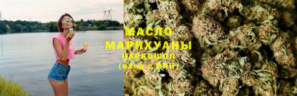 МДПВ Инсар